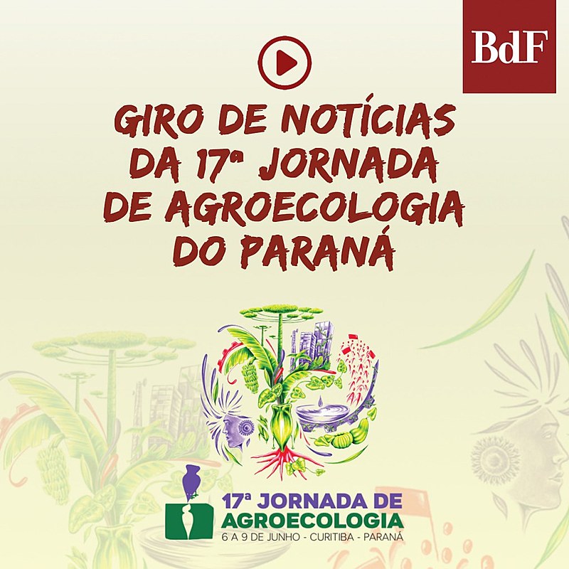 Encerramento com shows e apresentações agitou capital paranaense