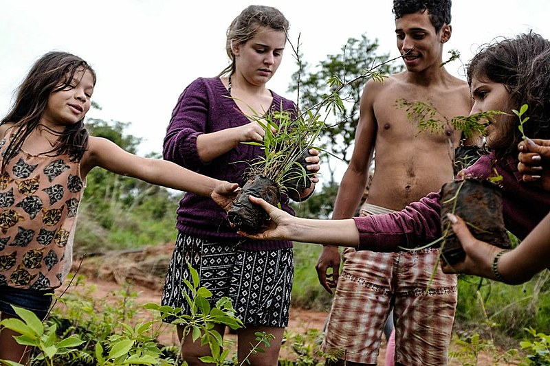 Mutirão ecológico mobiliza voluntários do DF e de outros estados que vieram ajudar na recuperação da área