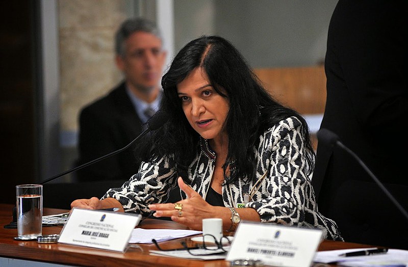 Braga comentou o cenário de perseguição e intimidação à imprensa no Brasil