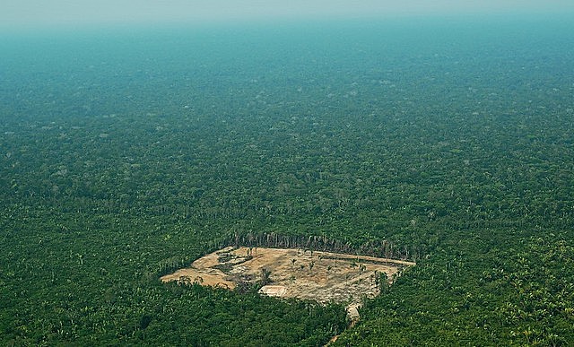Ministério do Meio Ambiente teve R$ 187 milhões congelados, o que vai impactar políticas de monitoramento ambiental e prevenção de incêndios