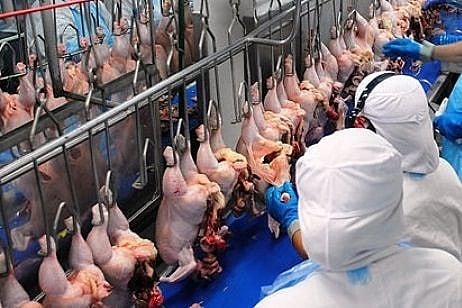 Alguns empregados chegavam a trabalhar 12 dias consecutivos.