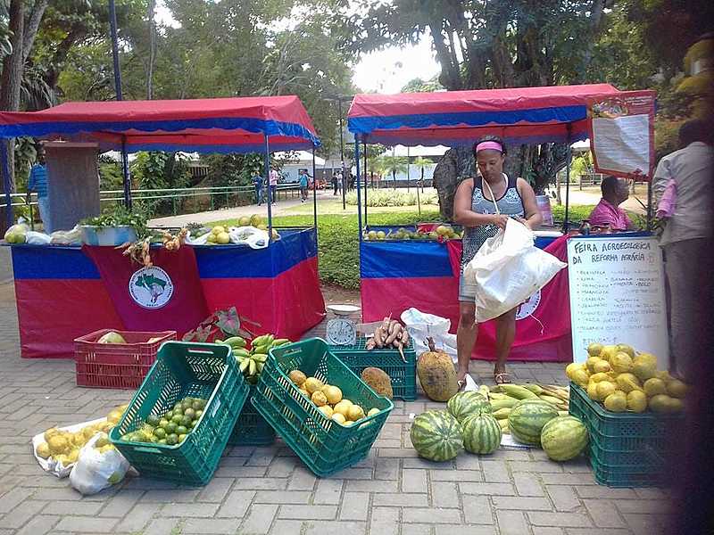 Feira Agroecológica da Reforma Agrária acontece todas as quartas-feiras no Campus de Ondina da UFBA