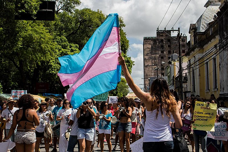 Bandeira rosa, azul e branca dá visibilidade à luta contra a transfobia