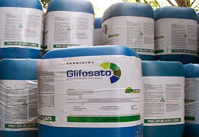 O decreto elaborado pela ministra de Saúde da Itália estabeleceu que seja retiradas as autorizações de comercialização de mais de 85 produtos fitossanitários que contêm glifosato como substância ativa