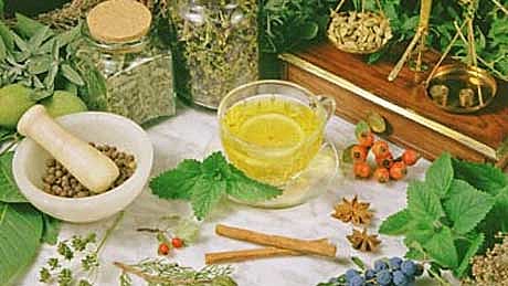 Medicamentos fitoterápicos fazem parte da Relação Nacional de Medicamentos do SUS.