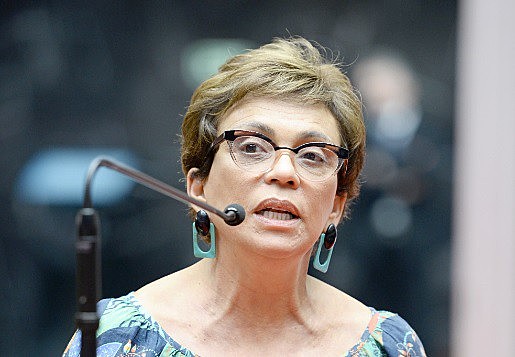 Parlamentar analisa situação das políticas públicas que visam o fim da violência contra a mulher