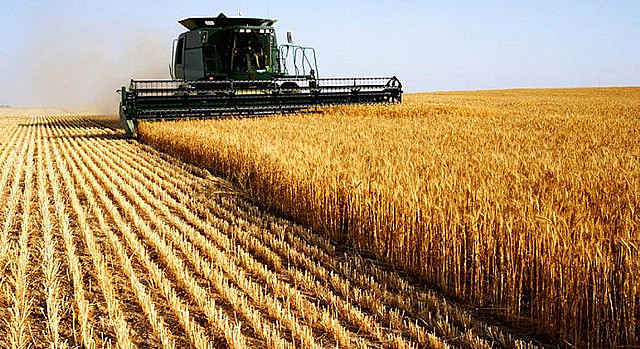 Concentración en la cadena productiva e incremento de los monocultivos representan una amenaza a la soberanía alimentar