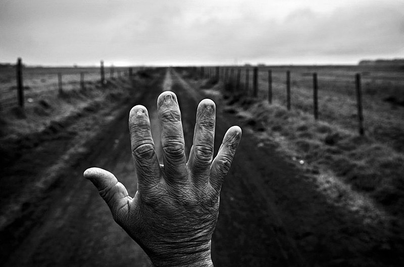 Fotógrafo viajou pela Argentina documentando os efeitos dos agrotóxicos na população
