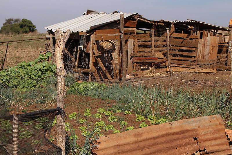 Primeira comunidade quilombola do Paraná a ser reconhecida pela Fundação Cultural Palmares, em 2005, o Paiol de Telha é local de resistência