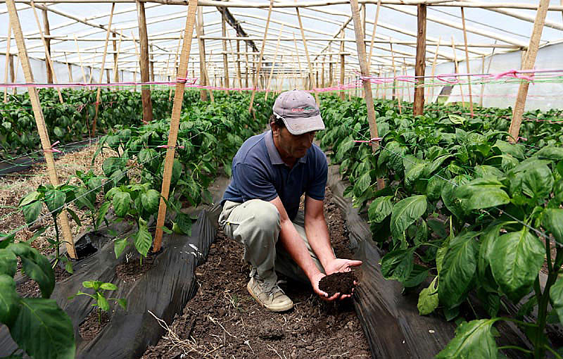 O projeto aprovado começou a ser formulado pelas organizações de agroecologia do país em 2014