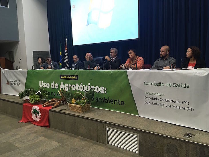 "O agronegócio sempre precisa de propagandas para convencer o público de que os agrotóxicos não fazem mal", afirmou Carla Bueno
