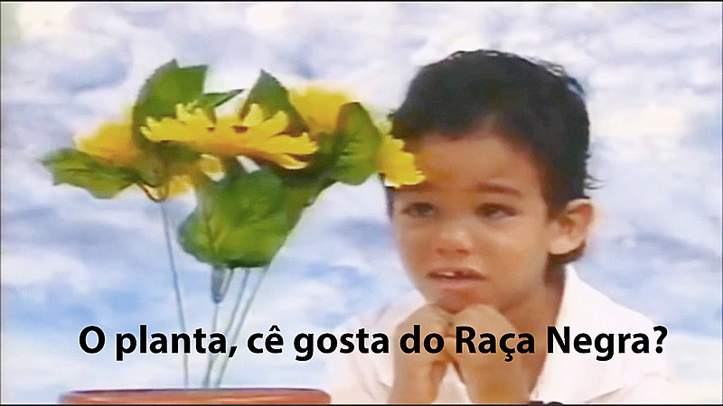 Não se sabe ainda bem como, mas vegetais captam ondas sonoras
