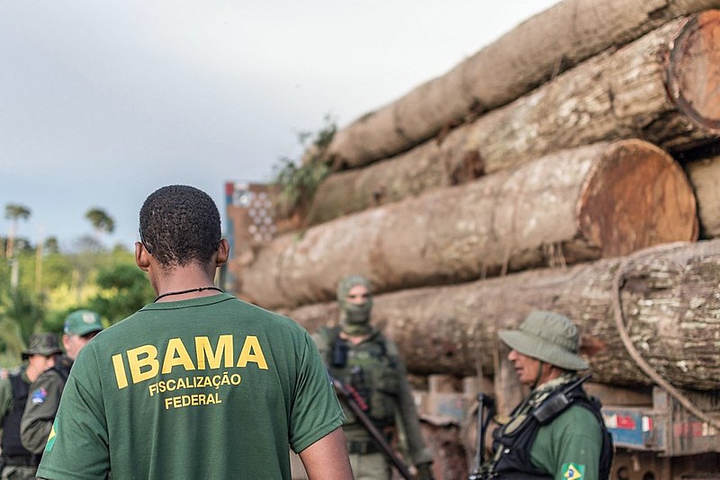 Falta de definição sobre o comando do Ibama prejudica fiscalização no Pará