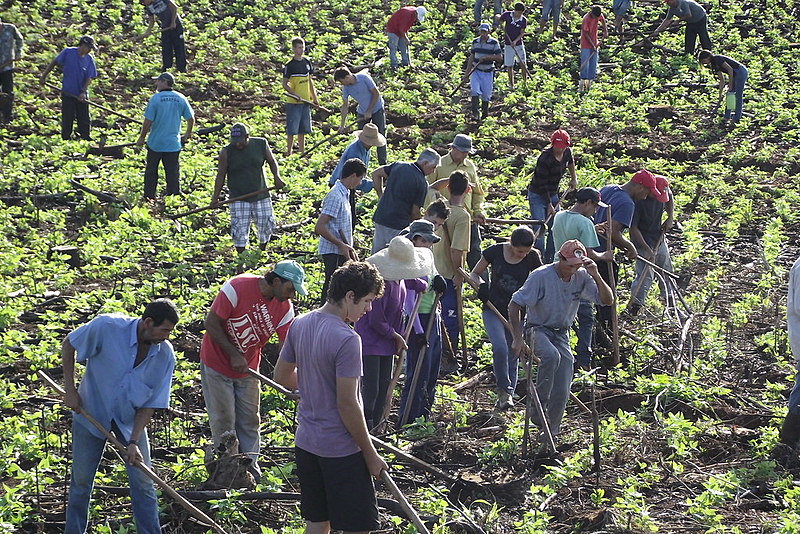 Agricultura familiar produz 70% dos alimentos consumidos no Brasil