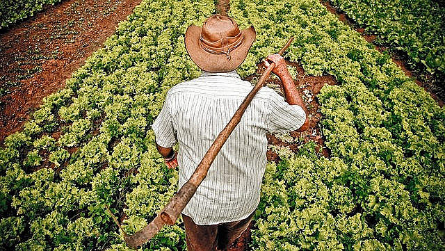 Em 2018, Minas ultrapassou a marca de mais de 2 mil títulos de propriedade rural entregues