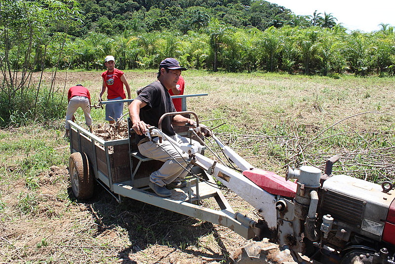 Agricultores familiares produzem alimentos sem agrotóxico