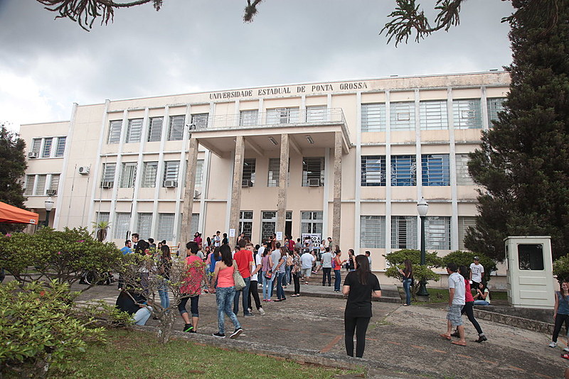 Na prática, as universidades deixam de gestar a carreira de seus servidores, delegando esta tarefa a uma Comissão Salarial