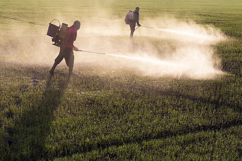 Atlas do Agronegócio revela que o lucrativo mercado mundial de agrotóxicos está nas mãos de dez empresas