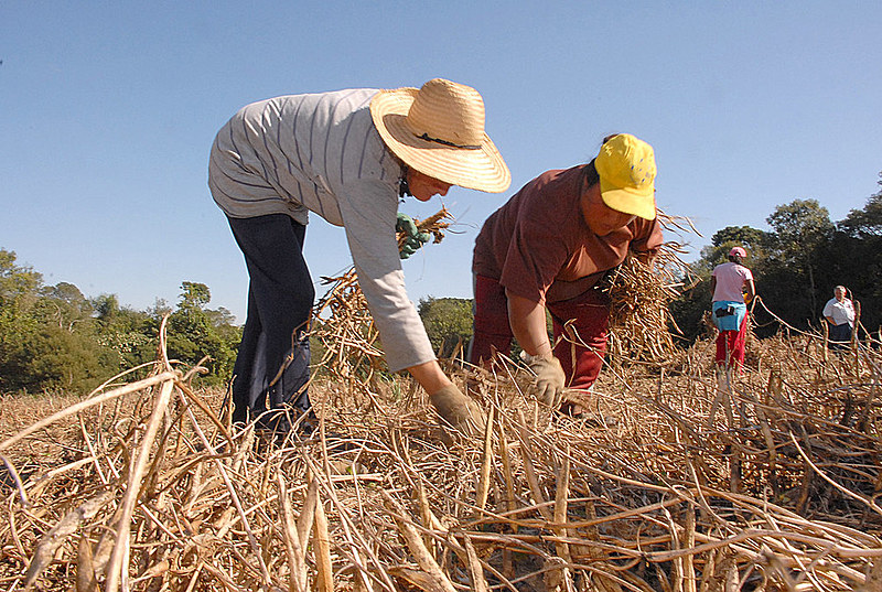 Reforma agrária só é prioridade para alguns candidatos