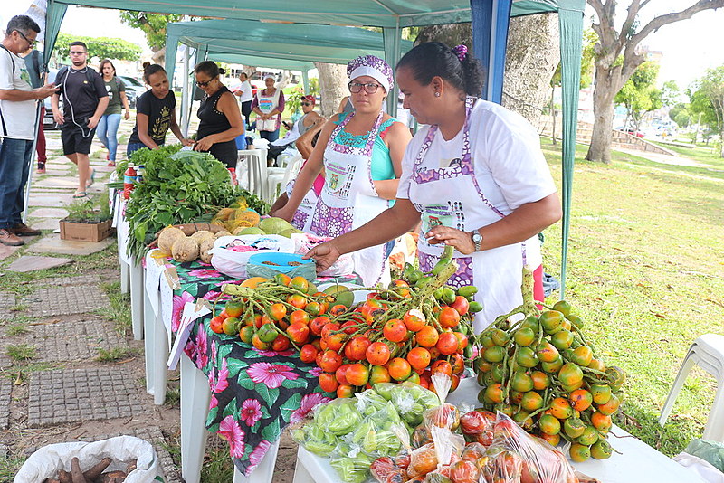 A feira agroecológica foi uma iniciativa das mulheres agricultoras para conquistarem autonomia econômica e política