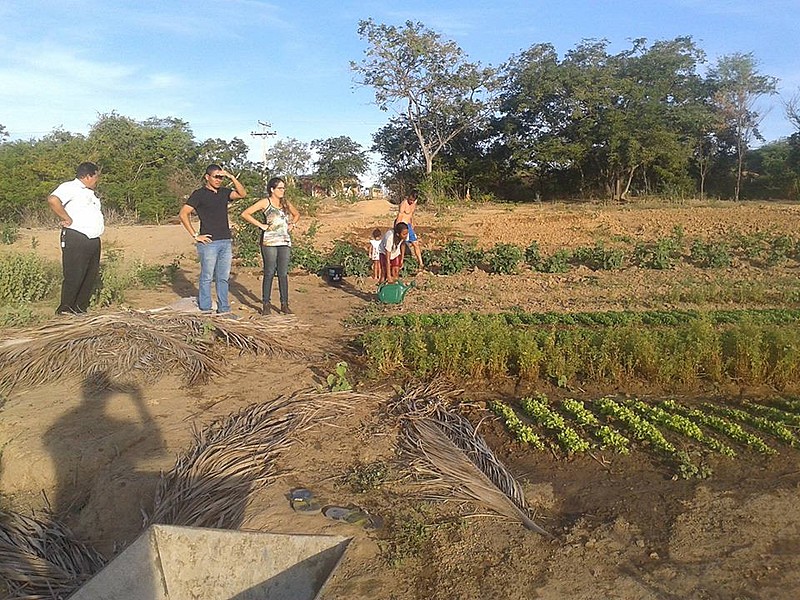 Titulação de terra quilombola é uma medida compensatória, diz advogado