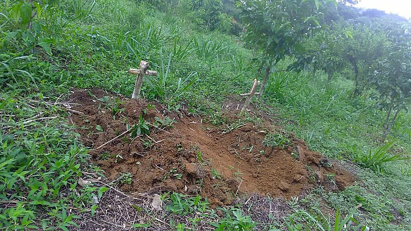 Osvalinda Maria Pereira foi colher maracujá no terreno quando encontrou as duas covas no domingo de manhã