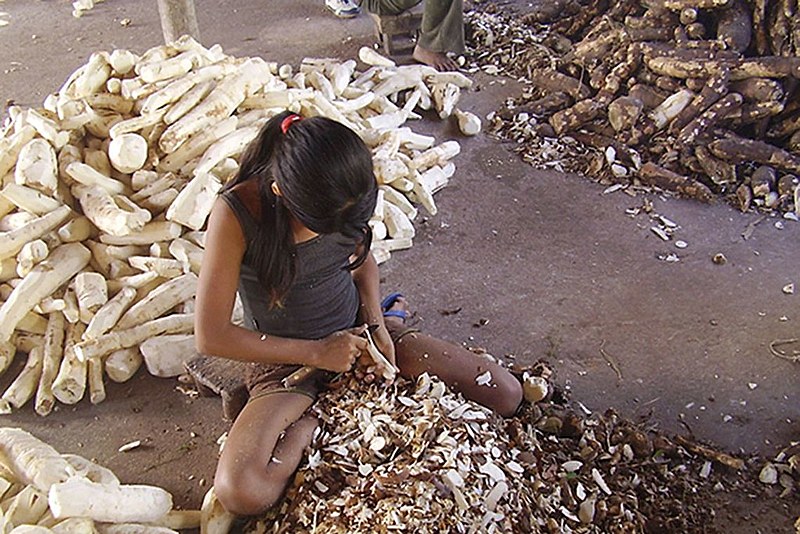 De cada dez trabalhadores infantis em atuação no Brasil, quase sete são negros