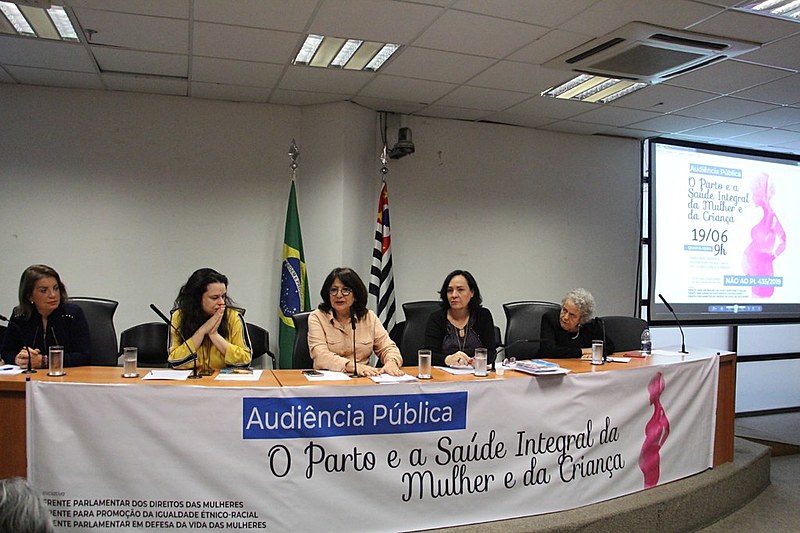 Ex-ministra Eleonora Menicucci disse que o PL 435 representa um retrocesso e pediu que a deputada retire a urgência da matéria.
