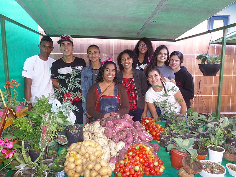 Discussão sobre o PL do Veneno e o ataque à Democracia foram temas da Feira da Agroecológica e Cultural da Juventude Camponesa.