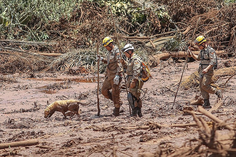 Equipes vasculham a lama tóxica nesta segunda-feira (28)