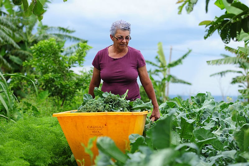 Agricultora no Distrito Federal