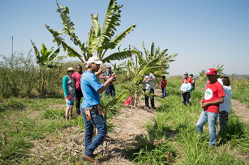 Em Promissão, a agroecologia já é uma realidade na produção de alimentos mais saudáveis