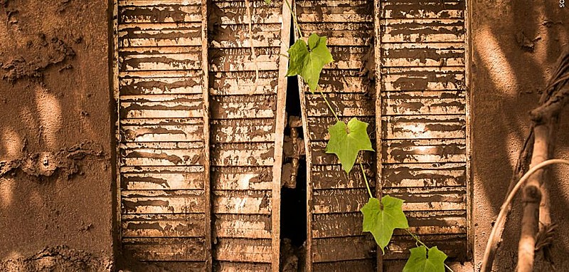 O crime ambiental prejudicou a economia de dezenas de municípios, além da produção agrícola de famílias camponesas