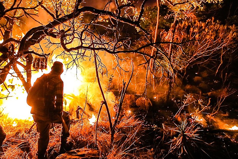 Os cinco responderão por dano a unidades de conservação e áreas de proteção ambiental e associação criminosa