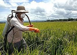 Política Nacional de Redução de Agrotóxicos é uma tentativa de reduzir o uso de veneno nas lavouras brasileiras
