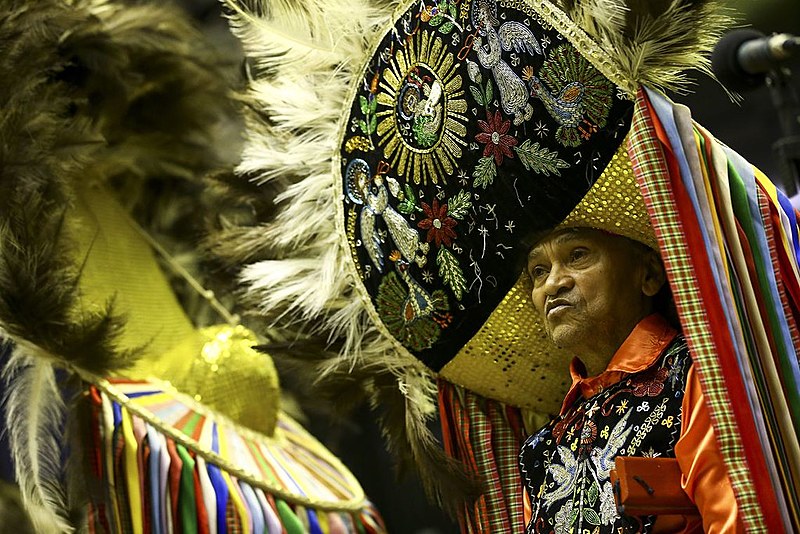 O Complexo Cultural do Bumba Meu Boi é dividido em cinco sotaques principais: Matraca, Orquestra, Zabumba, Costa-de-mão e Baixada