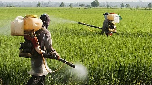 La avalancha de licencias de agrotóxicos tiene por objetivo volver el mercado “más accesible” a los agricultores