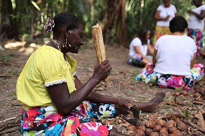 A extração da amêndoa geralmente é feita pelas mulheres, que utilizam uma espécie de martelo para romper a casca do fruto.