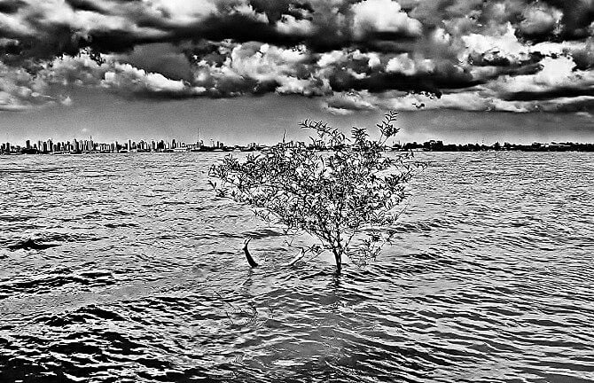 A fotógrafa paraense, Evna Moura, fará exposição de fotos em noite para alertar sobre exploração da Amazônia