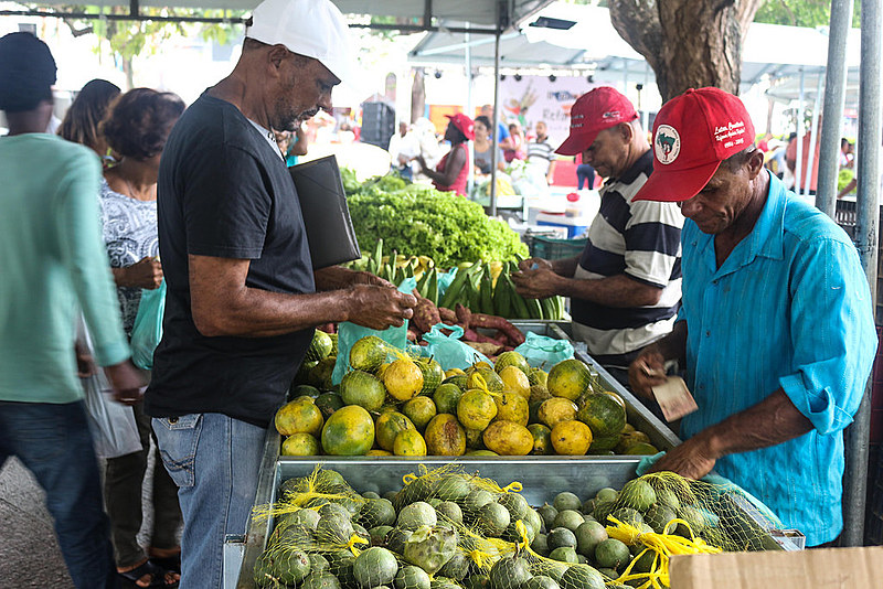 Feiras agroecológicas são realizadas pelo MST em diversas cidades do país
