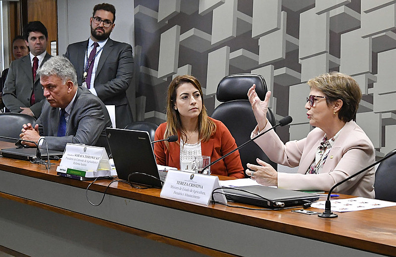 Comissão de Agricultura e Reforma Agrária (CRA) do Senado durante sabatina da ministra Tereza Cristina