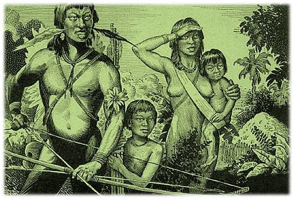 Os tupinambás muito se admiram de os franceses e outros estrangeiros se darem ao trabalho de buscar aqui o pau-brasil