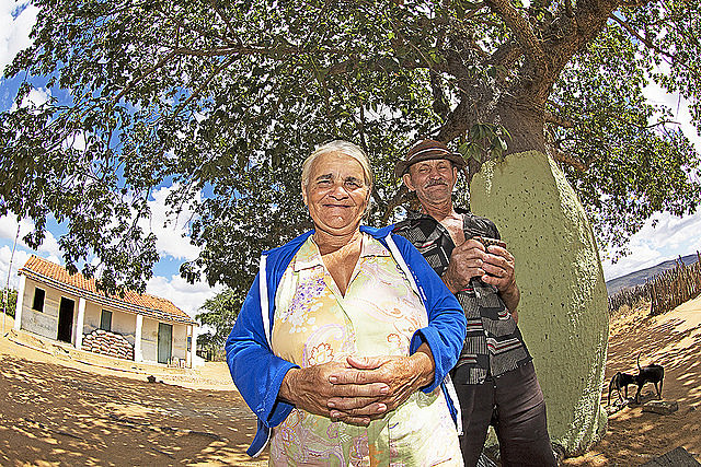 O Semiárido como território de identidade é uma construção recente e está em formação