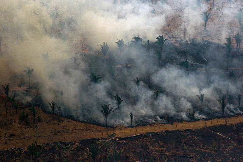 Estudo reúne informações sobre a correlação entre as queimadas e seus efeitos para a saúde na região da Amazônia Legal