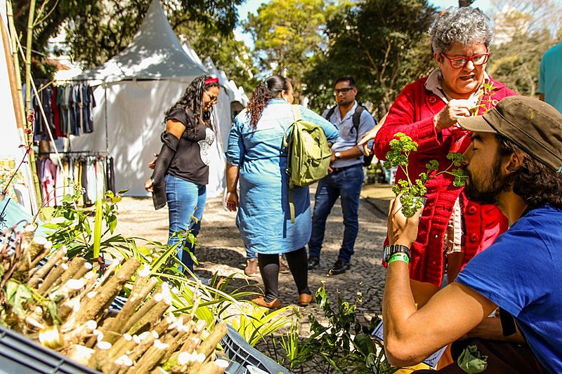 O processo de revitalização segue até hoje, já com 15 hectares de agrofloresta