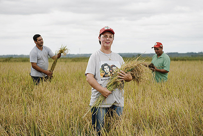 Beneficiado, grão sem veneno é exportado para os Estados Unidos, Holanda, Alemanha, Venezuela, Espanha e Portugal