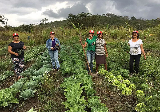 Dia do Agricultor e da Agricultora é celebrado no dia 25 de julho