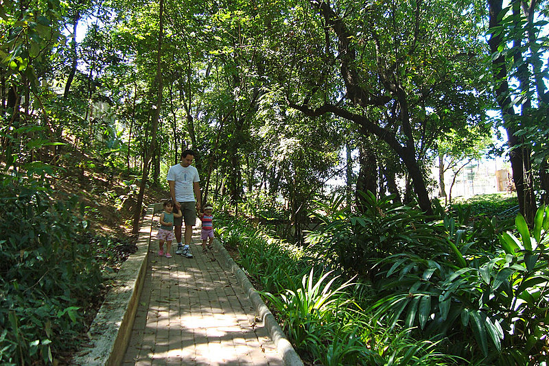 Parque Ecológico do Caiçara  guarda  boas surpresas, como quedas d’água