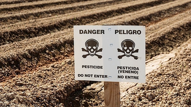 O número de agrotóxicos proibidos, mas vendidos abertamente no Brasil pela Bayer, aumentou em 50% de 2016 para 2019