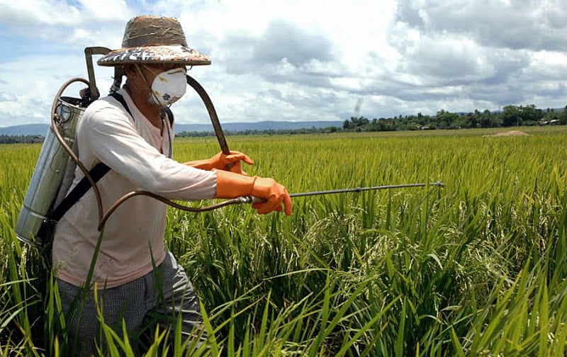 Agrotóxicos que eram considerados extremamente tóxicos passam a ser chamados de “moderadamente tóxicos”